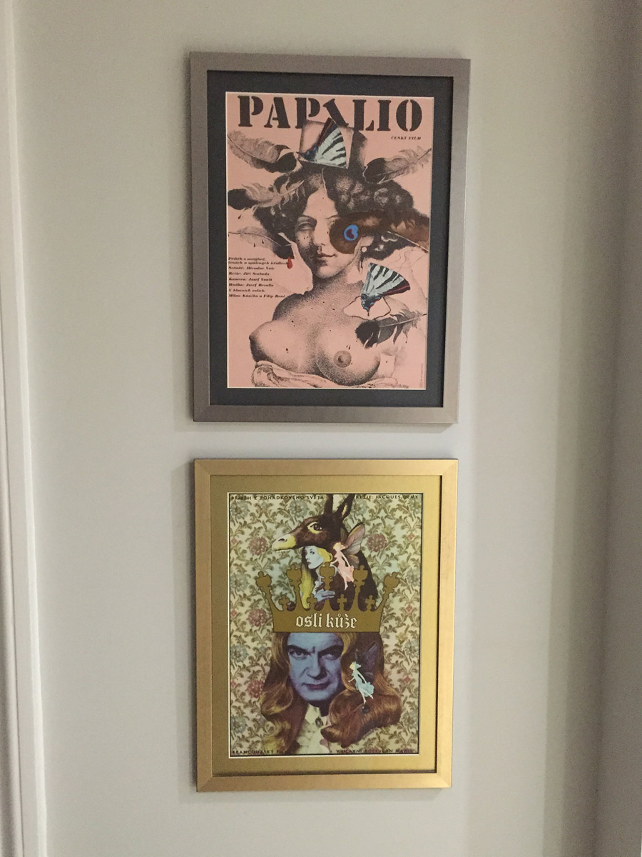 Framed Vintage Posters Papilio / Donkey Skin