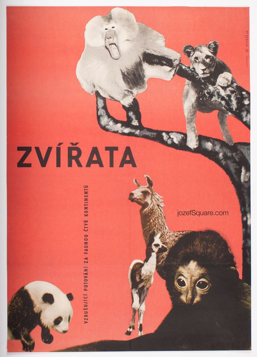 Movie Poster, The Animals, Cenek Prazak