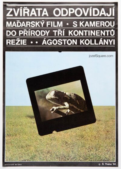 Movie Poster, Animals Responding, Stefan Theisz, 1980s Cinema Art